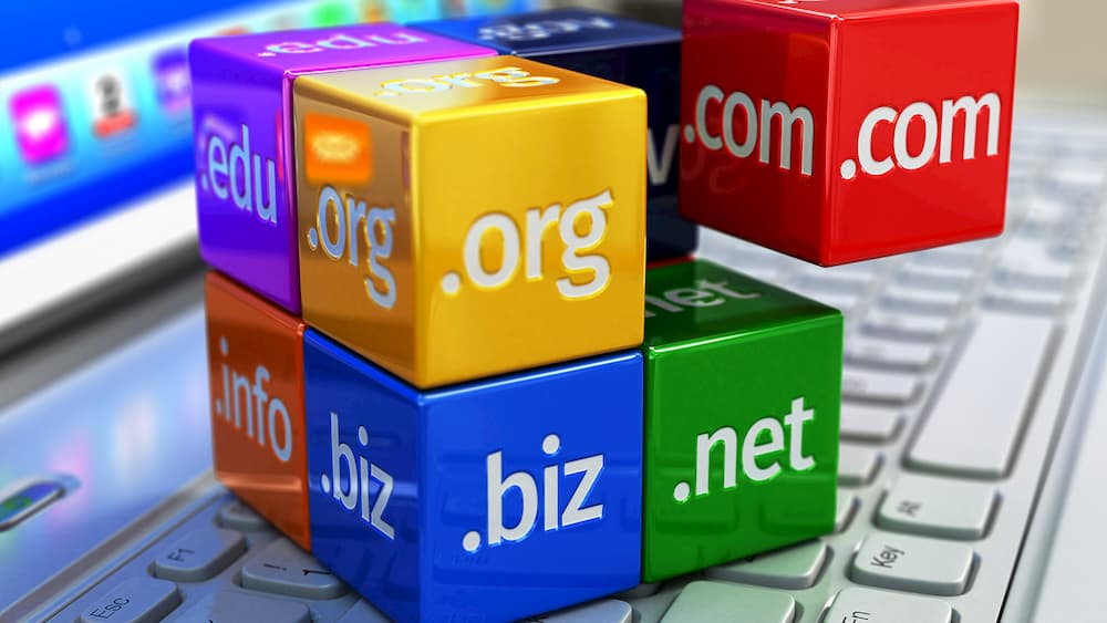 Panduan Dasar Penggunaan Domain