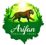 Jasa Pembuatan Website Murah Di Banda Aceg