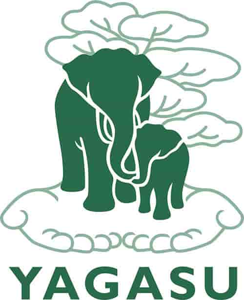 Jasa Pembuatan Website Yayasan Jasa Pembuatan Website Yayasan